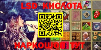 spice Свободный